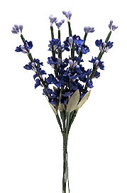 Lavendelblüte Bund à 6 violett ca. 14cm